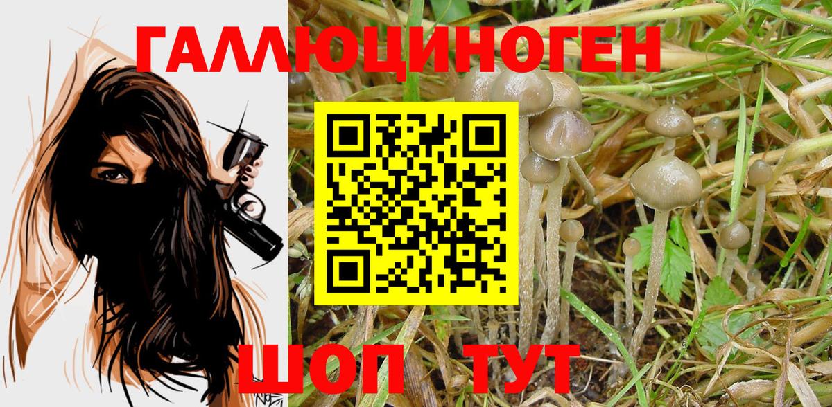 Благовещенск  Псилоцибиновые грибы Magic Shrooms  Вход с VPN 